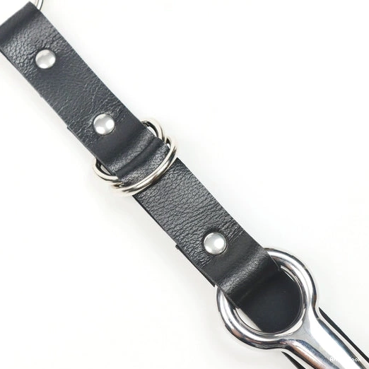 EverydayUse and Anal Kinky Hook with Collar Leash 5853 0709